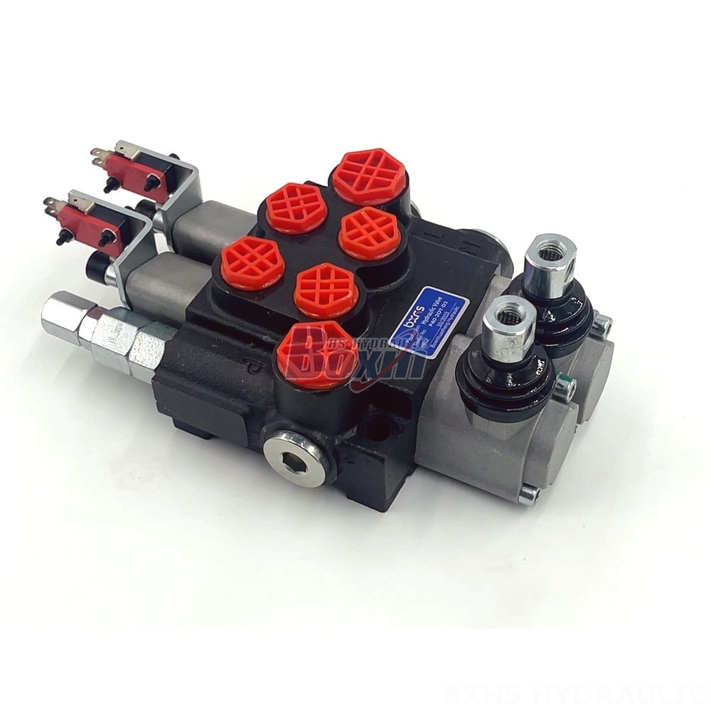 Factory Direct P40 Micro Switch Valve: Wholesale Pricing & Quality Assurance detail image